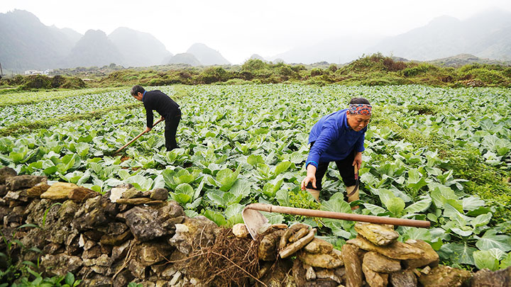 Youth join hands to revitalise mountainous village