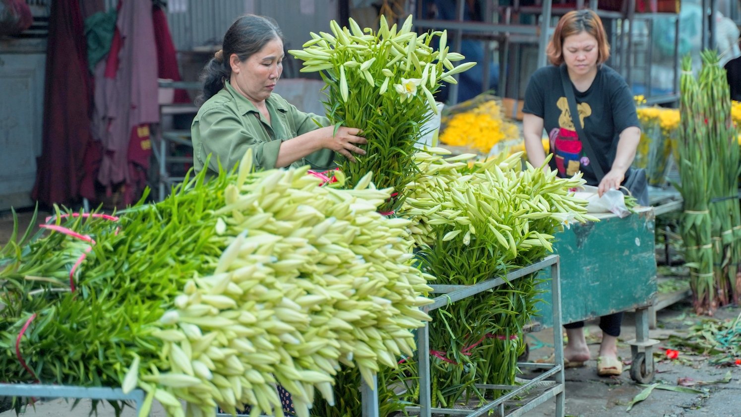 White lilies greet April in Hanoi