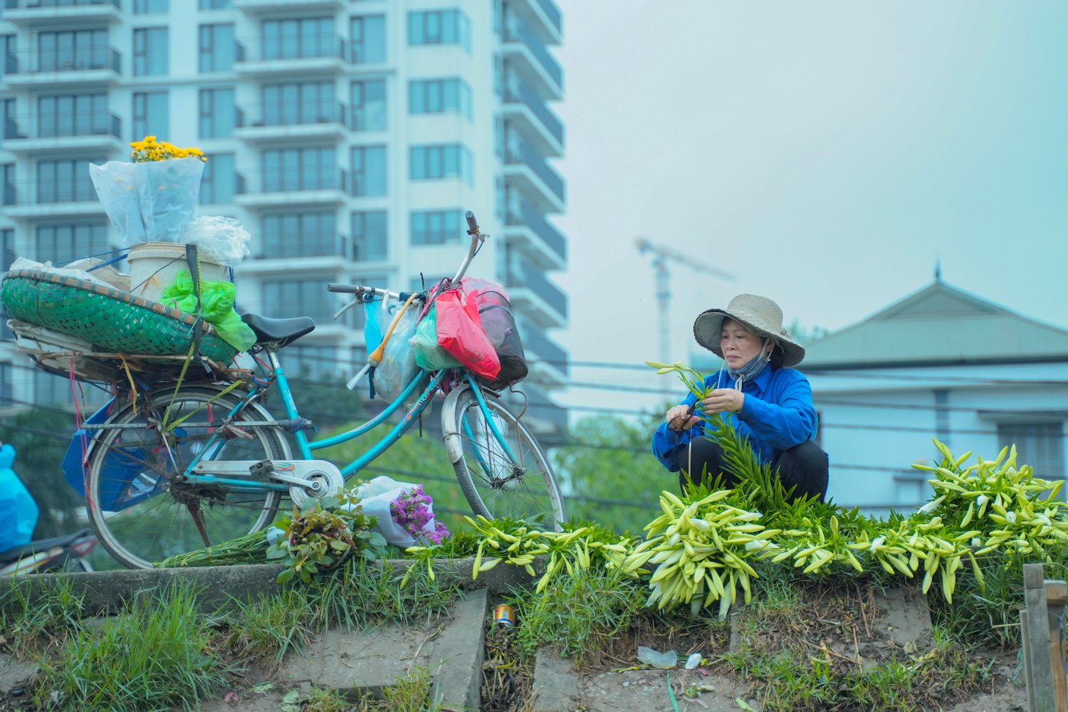 White lilies greet April in Hanoi