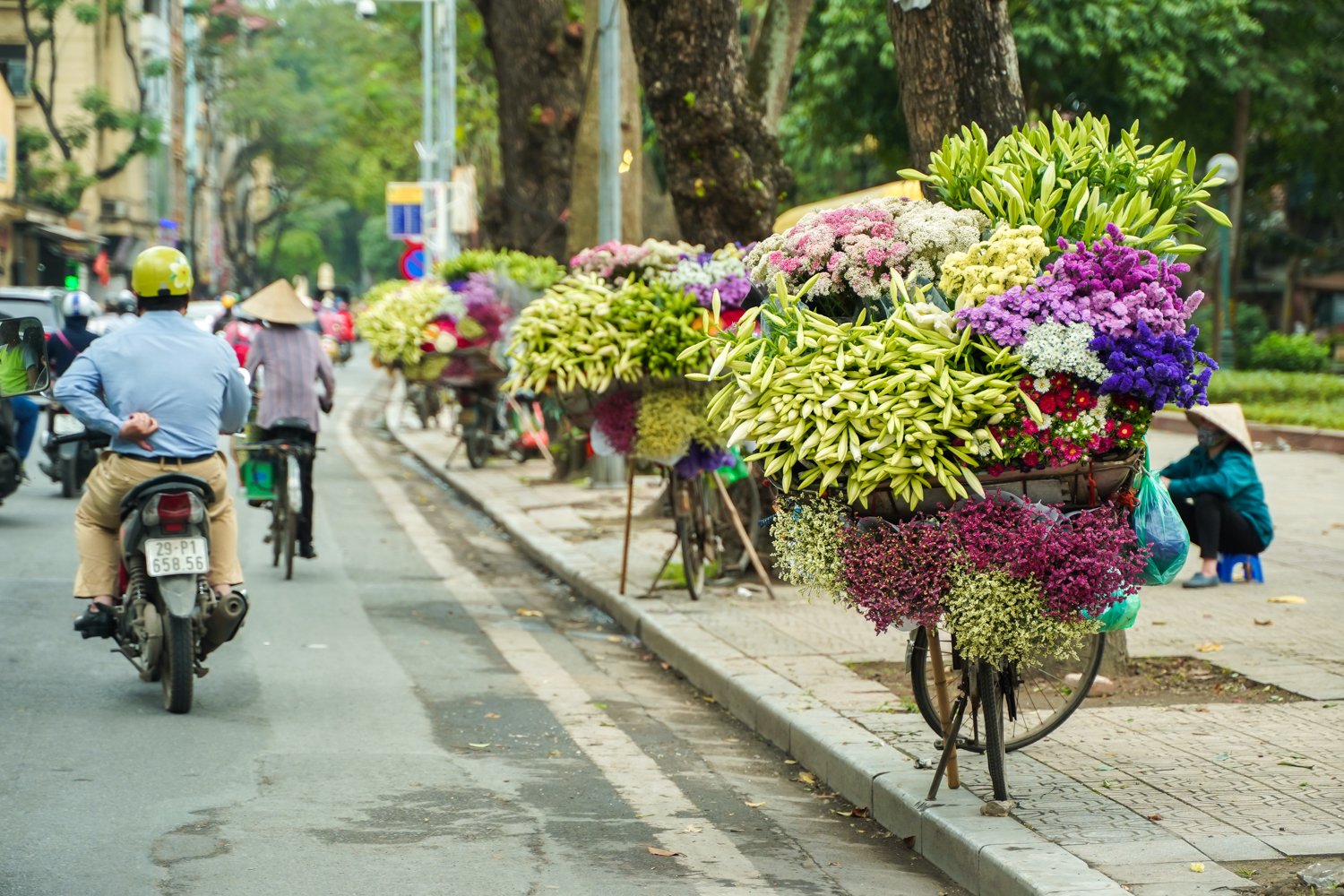 White lilies greet April in Hanoi