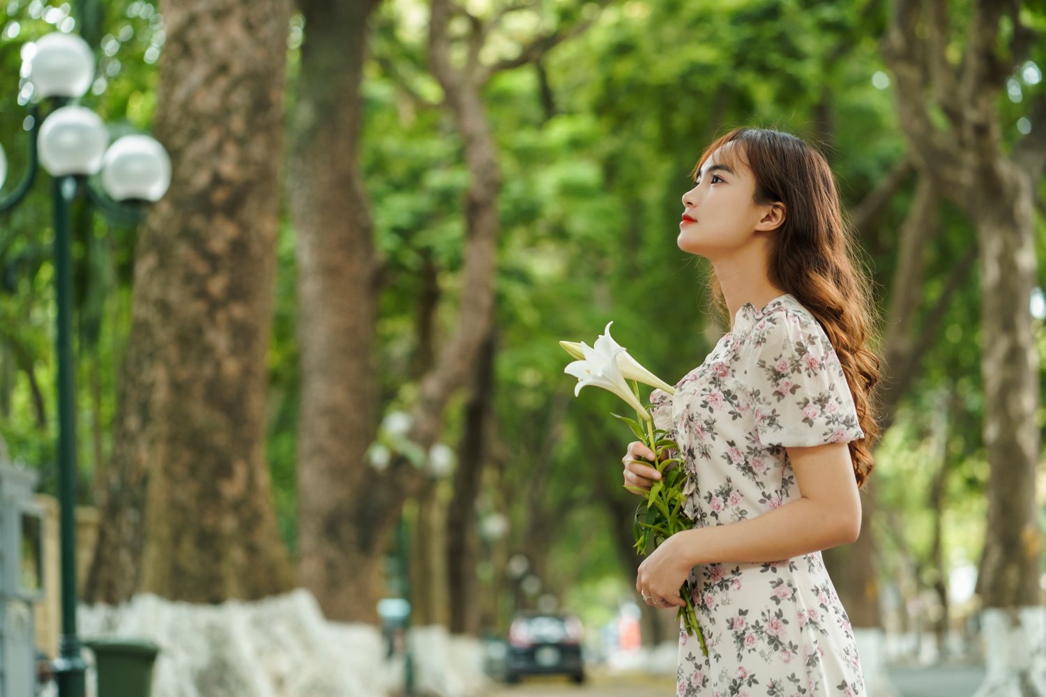 White lilies greet April in Hanoi