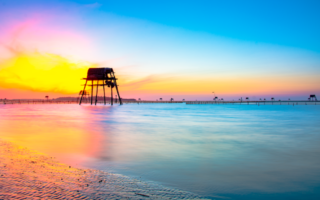 Pure beauty of Thai Binh clam farms