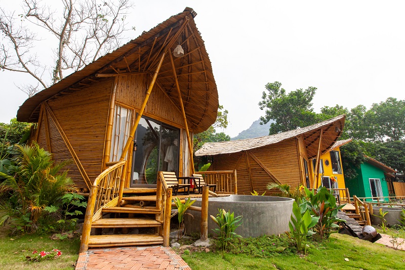 tree houses in Vietnam, gorgeous treehouses, summer holidays in Vietnam, Travel to Vietnam, wonderful wooded stay in Vietnam