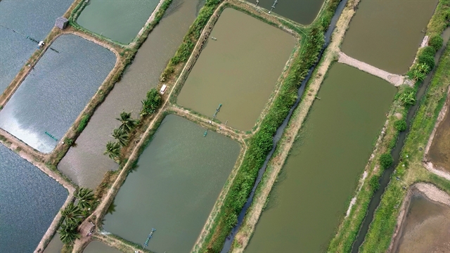 fruit, aquaculture, other crops, Mekong Delta, rice, nature-based farming models