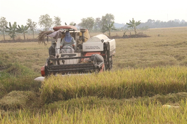 fruit, aquaculture, other crops, Mekong Delta, rice, nature-based farming models