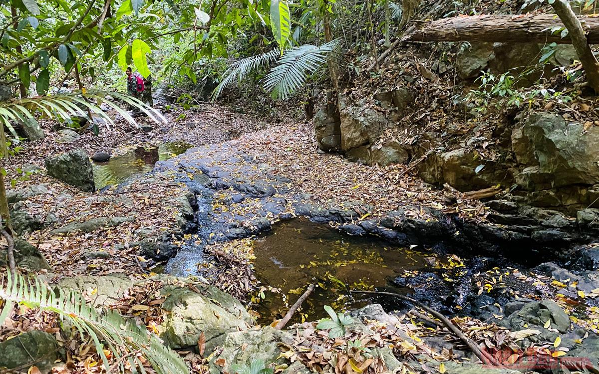 Chu Mom Ray Park: An impressive ASEAN heritage in the Truong Son range