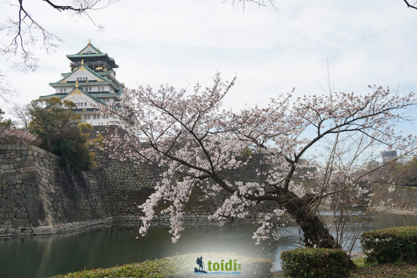 địa điểm nước ngoài, thành osaka có gì đặc biệt? hướng dẫn chi tiết du lịch lâu đài osaka