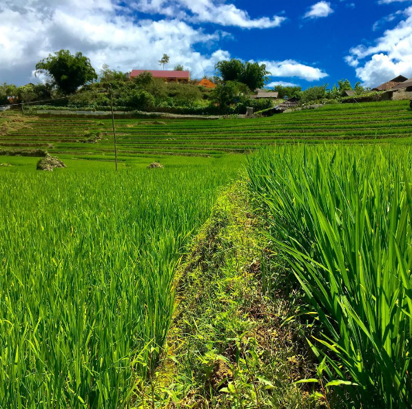 du lịch sapa: cẩm nang từ a đến z