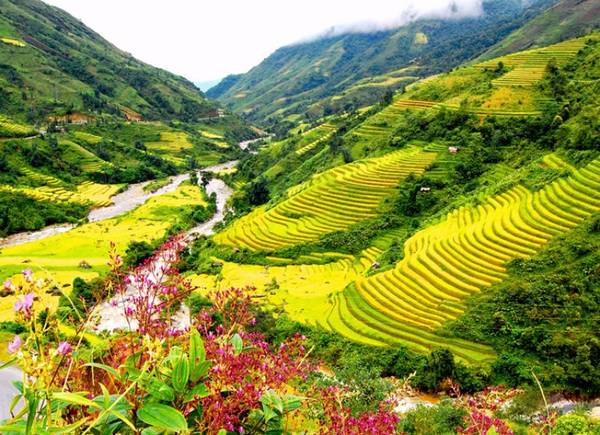 du lịch sapa: cẩm nang từ a đến z