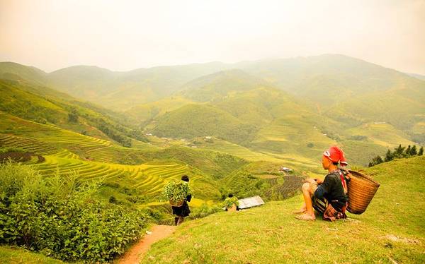 du lịch sapa: cẩm nang từ a đến z