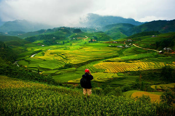 du lịch sapa: cẩm nang từ a đến z