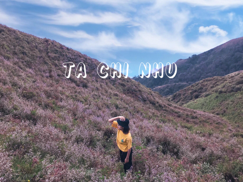 Chinh phục đỉnh Tà Chì Nhù, nơi có đồi hoa tím phủ kín cả núi rừng