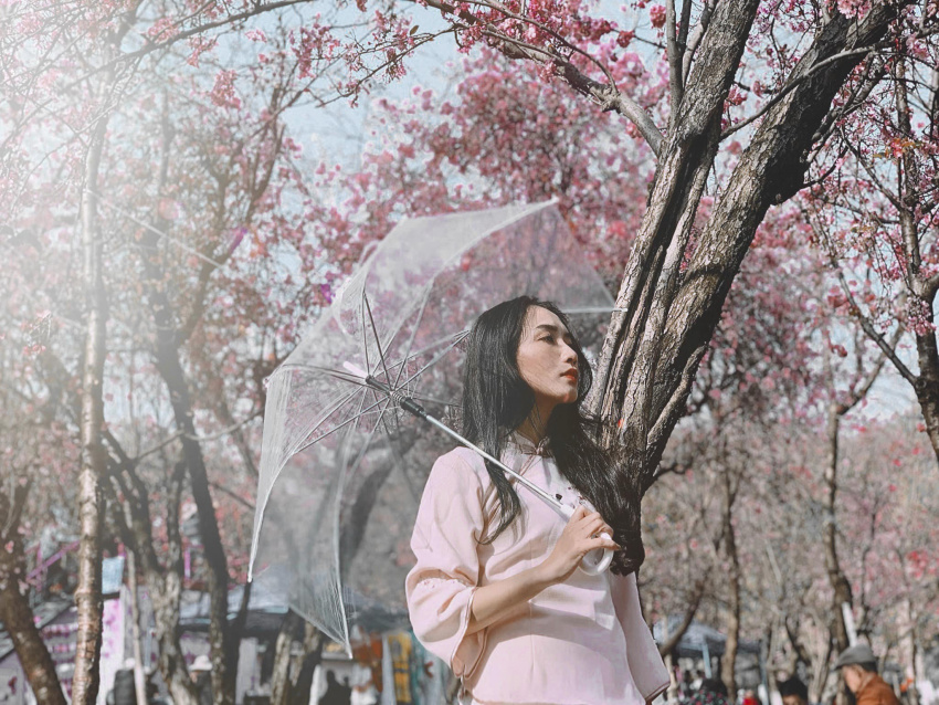 Bộ ảnh cực đẹp du lịch Lệ Giang – Côn Minh – Shangrila tháng 3 siêu đẹp