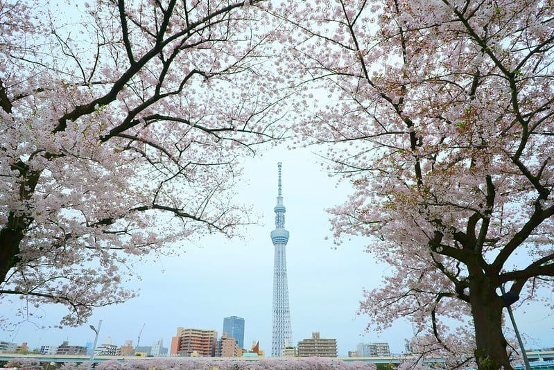 địa điểm nước ngoài, những địa điểm nổi tiếng ở tokyo bạn phải đến 1 lần trong đời