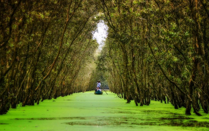 địa điểm, top “4 khu rừng tràm đẹp nhất việt nam” nổi tiếng trong giới du lịch