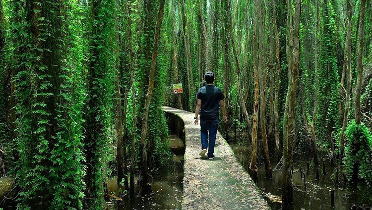 địa điểm, top “4 khu rừng tràm đẹp nhất việt nam” nổi tiếng trong giới du lịch