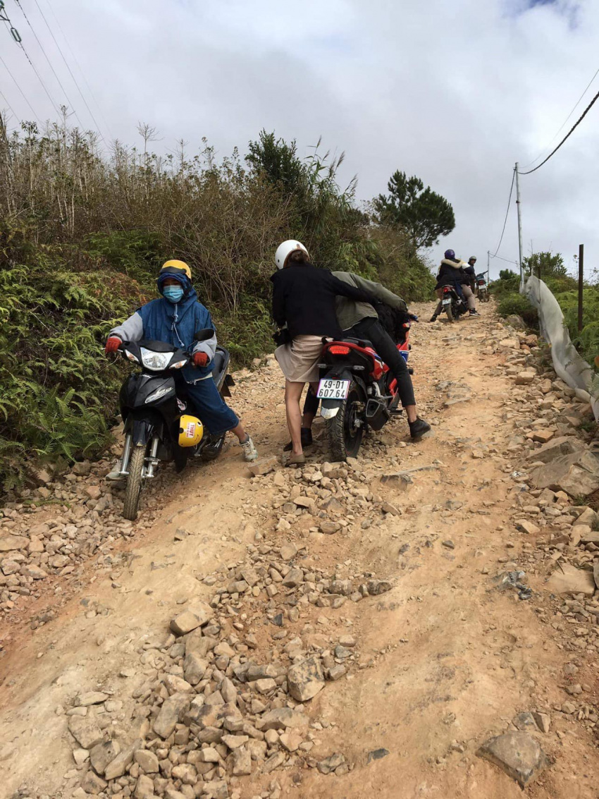 địa điểm, mộng đào nguyên đà lạt – hướng dẫn chi tiết đường đi, siêu khó đi nhưng hoa mai anh đào cực đẹp