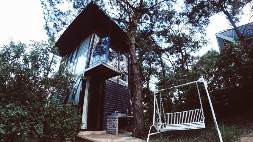 homestay, homestay the chipmunk- nhà của sóc – ngôi nhà nằm giữa rừng thông