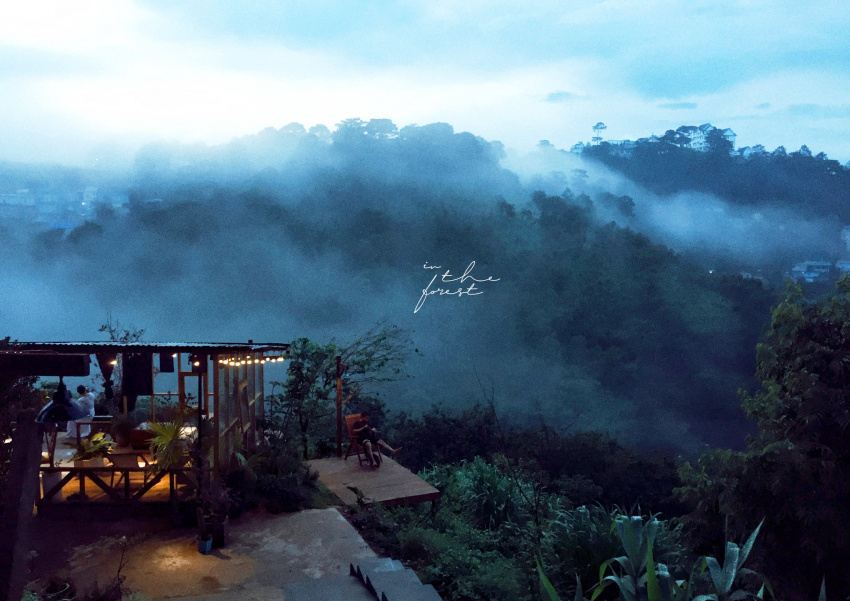 chill hết nấc ở “tiệm cafe giữa rừng, view đồi núi” ngay đà lạt – in the forest đà lạt