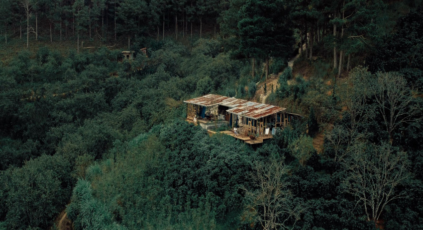 chill hết nấc ở “tiệm cafe giữa rừng, view đồi núi” ngay đà lạt – in the forest đà lạt