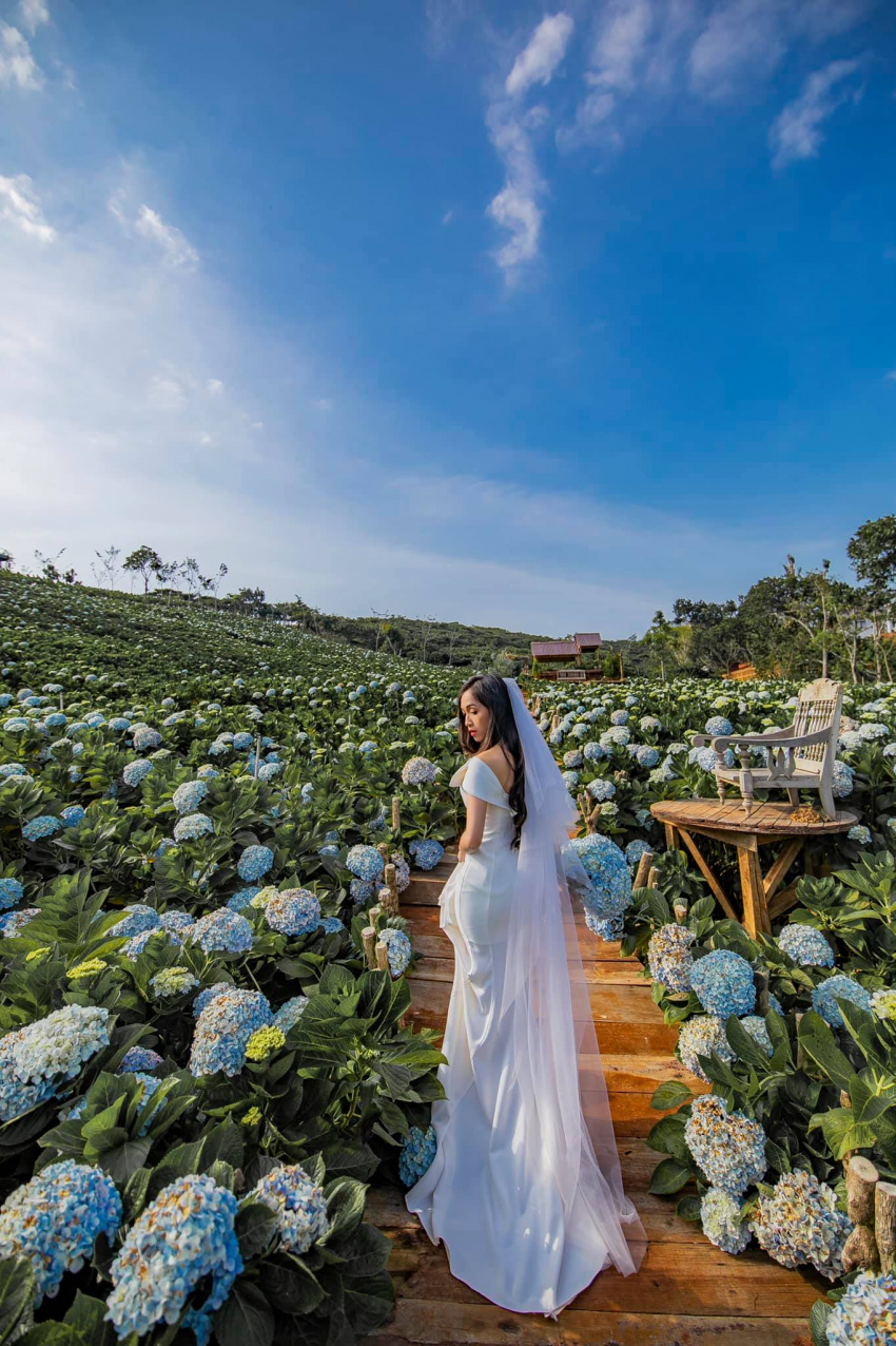 địa điểm, vườn hoa cẩm tú cầu đẹp nhất đà lạt – khám phá ngay happy garden đà lạt nhé!