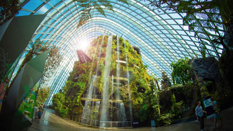 địa điểm nước ngoài, kinh nghiệm đi khu vườn garden by the bay – singapore