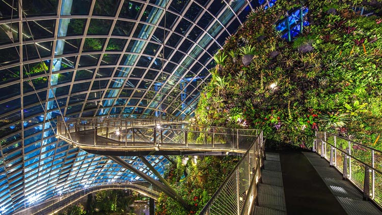 địa điểm nước ngoài, kinh nghiệm đi khu vườn garden by the bay – singapore
