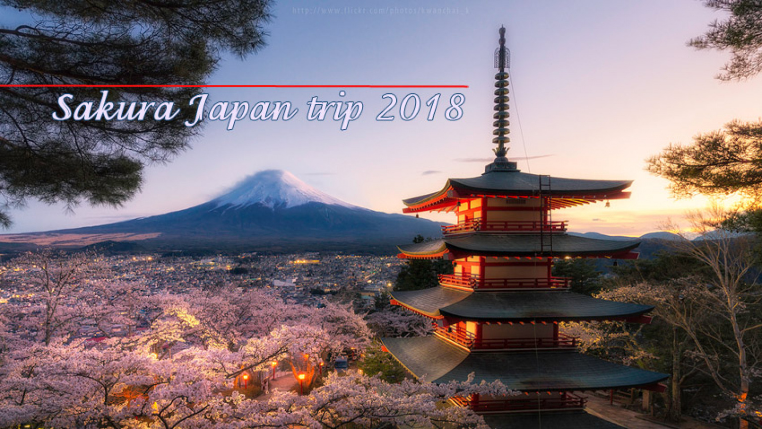 Rủ rê – Du lịch bụi Nhật Bản mùa Hoa Anh Đào 2018