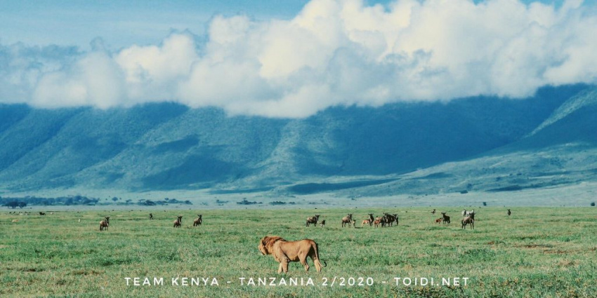 Nên đi du lịch Kenya và Tanzania khi nào?