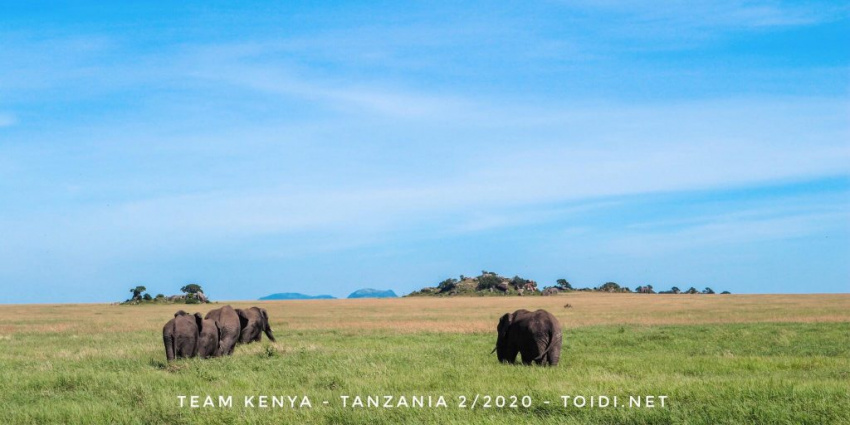 địa điểm nước ngoài, nên đi du lịch kenya và tanzania khi nào?