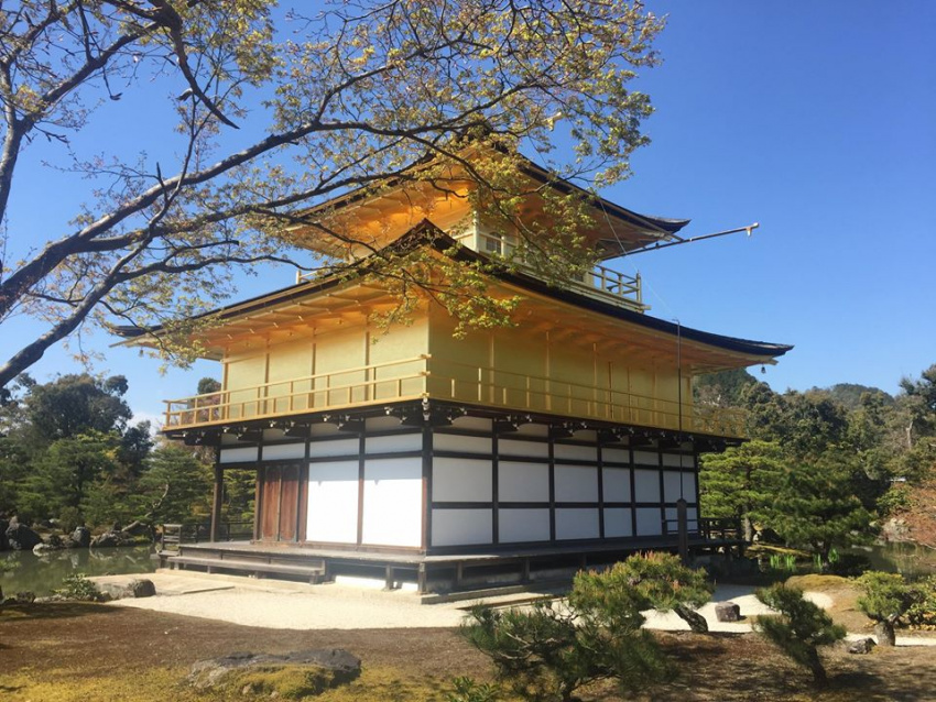 địa điểm nước ngoài, chùa vàng kyoto – điểm du lịch phải ghé khi tới kyoto