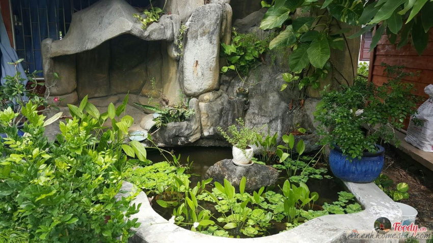 homestay, bạch cúc homestay: khu vườn cổ tích “ẩn mình” giữa làng biển long hải