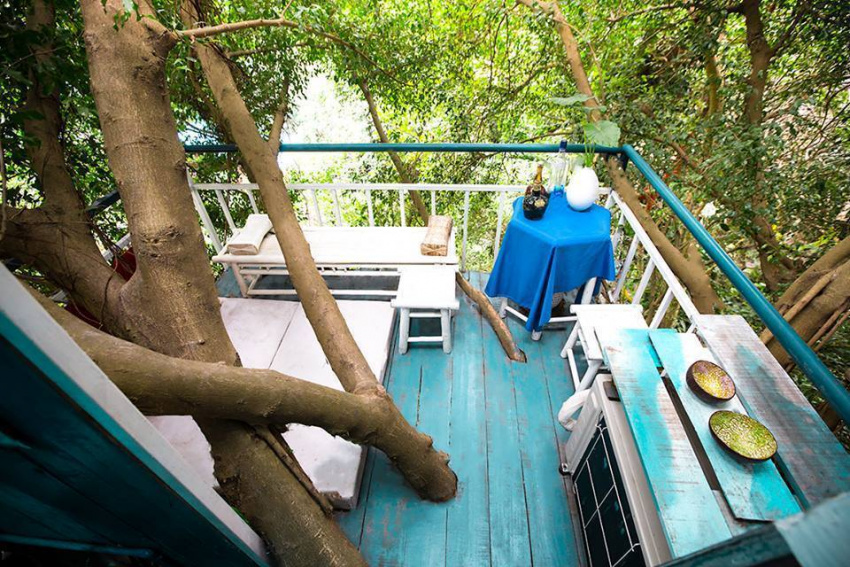 homestay, amazon, cosy tree house: review homestay “lơ lửng trên cây” cực độc ở hà nội