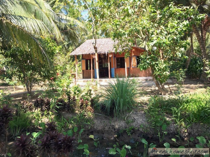 homestay, cocohut homestay bến tre: review chi tiết nơi ẩn mình giữa rừng dừa