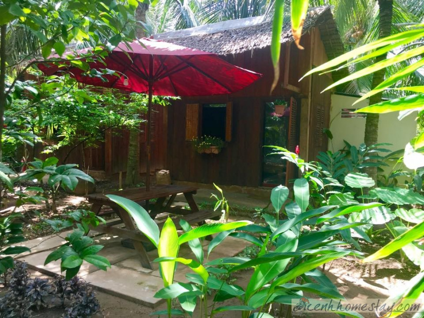 homestay, cocohut homestay bến tre: review chi tiết nơi ẩn mình giữa rừng dừa