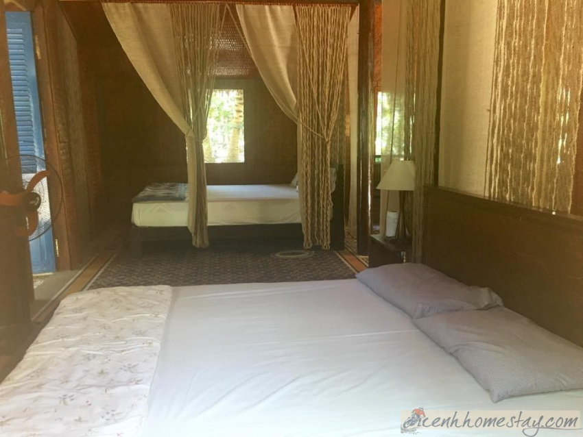 homestay, cocohut homestay bến tre: review chi tiết nơi ẩn mình giữa rừng dừa