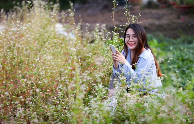 Lộ diện vườn hoa tam giác mạch ở Sài Gòn cho chị em chụp ảnh sống ảo