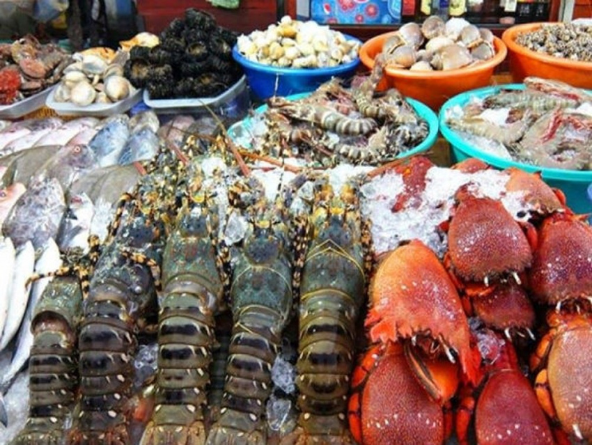 cẩm nang phượt, kinh nghiệm phượt, top 10 vựa hải sản côn đảo tươi ngon nên mua khi du lịch