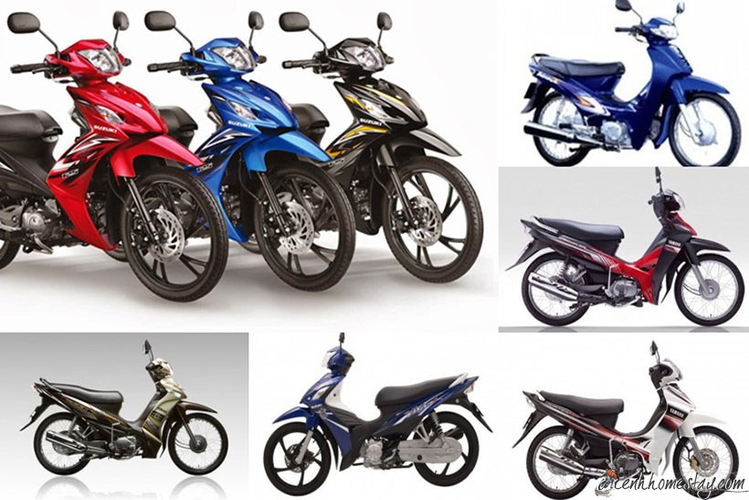 Những địa chỉ cho thuê xe máy Cô Tô Quảng Ninh giá rẻ từ 100k