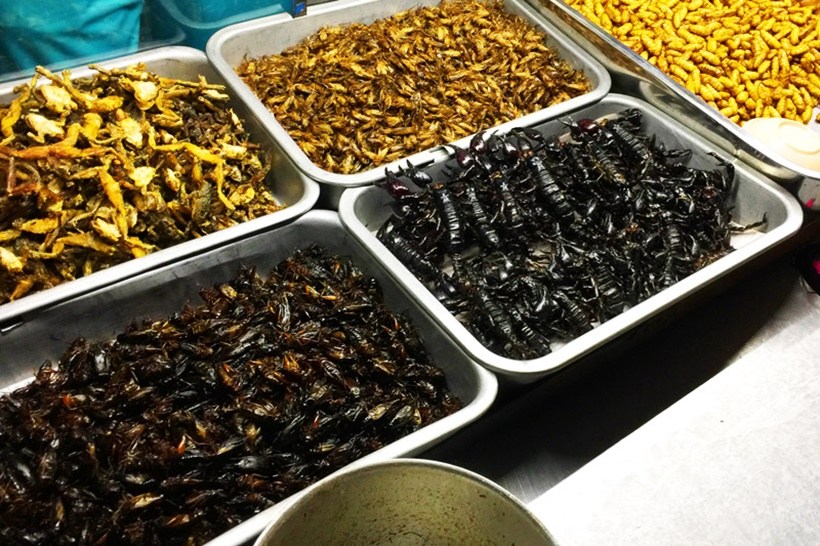 cẩm nang phượt, kinh nghiệm phượt, kinh nghiệm du lịch chợ tịnh biên thưởng thức món ăn từ côn trùng