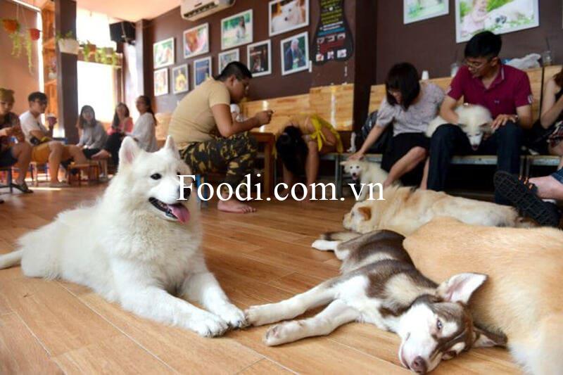top 10 quán cafe chó đà lạt – cà phê mèo đà lạt view đẹp cực xịnh xò