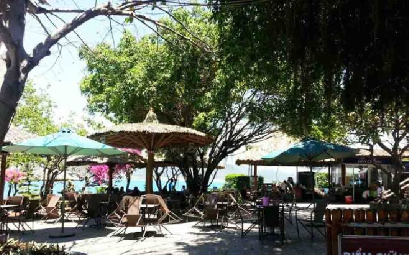 top 20 quán cafe nha trang view đẹp gần biển không gian sân vườn