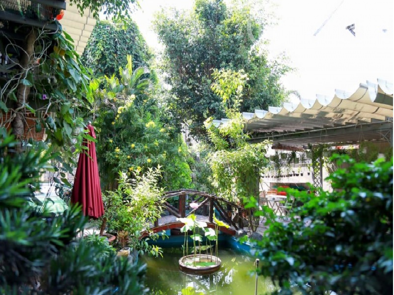top 20 quán cà phê tây ninh giá rẻ view sân vườn đẹp đáng để thưởng thức