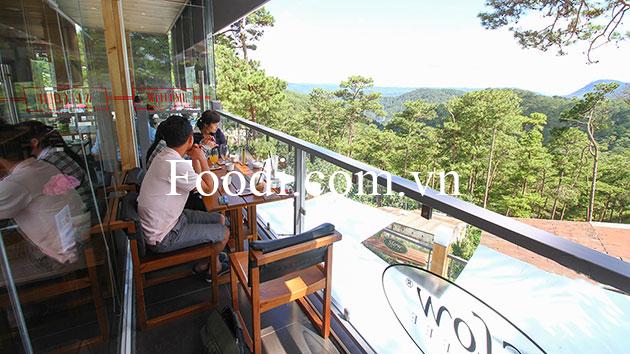 top 50 quán cafe đà lạt đẹp view rừng thông ngắm mây núi chuẩn sống ảo