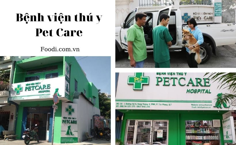 top 20 phòng khám thú y gần đây uy tín nhất tại sài gòn – tphcm