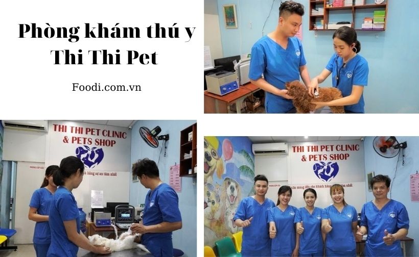 top 20 phòng khám thú y gần đây uy tín nhất tại sài gòn – tphcm