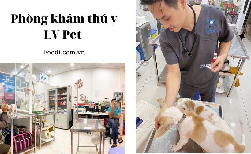 top 20 phòng khám thú y gần đây uy tín nhất tại sài gòn – tphcm