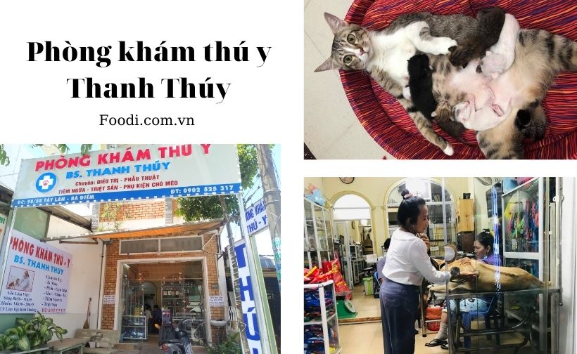 top 20 phòng khám thú y gần đây uy tín nhất tại sài gòn – tphcm