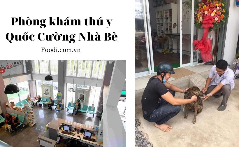 top 20 phòng khám thú y gần đây uy tín nhất tại sài gòn – tphcm