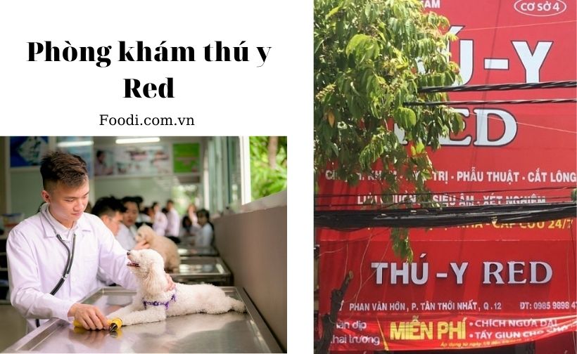 top 20 phòng khám thú y gần đây uy tín nhất tại sài gòn – tphcm